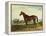 Kentucky-Edward Troye-Framed Premier Image Canvas