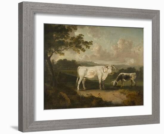 Kenwood, Lord Mansfield's Pedigree Cattle, 1797-Julius Caesar Ibbetson-Framed Giclee Print