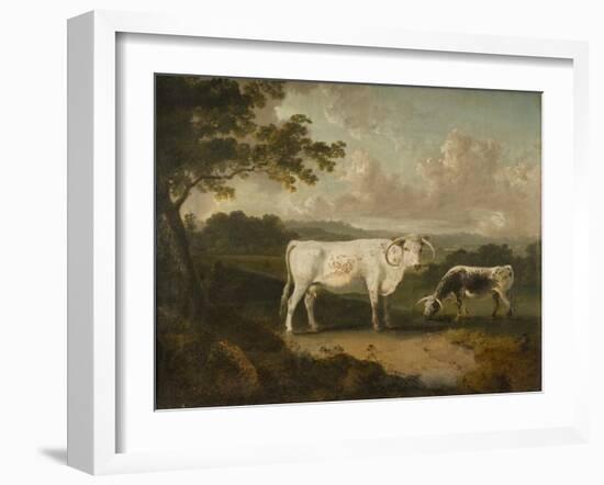 Kenwood, Lord Mansfield's Pedigree Cattle, 1797-Julius Caesar Ibbetson-Framed Giclee Print