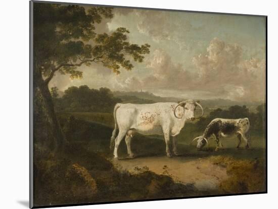 Kenwood, Lord Mansfield's Pedigree Cattle, 1797-Julius Caesar Ibbetson-Mounted Giclee Print
