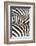 Kenya, Amboseli National Park, Close Up on Zebra Stripes-Anthony Asael-Framed Photographic Print