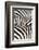 Kenya, Amboseli National Park, Close Up on Zebra Stripes-Anthony Asael-Framed Photographic Print