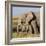 Kenya, Amboseli National Park, Elephant (Loxodanta Africana)-Alison Jones-Framed Photographic Print