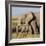 Kenya, Amboseli National Park, Elephant (Loxodanta Africana)-Alison Jones-Framed Photographic Print