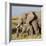 Kenya, Amboseli National Park, Elephant (Loxodanta Africana)-Alison Jones-Framed Photographic Print