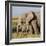 Kenya, Amboseli National Park, Elephant (Loxodanta Africana)-Alison Jones-Framed Photographic Print