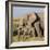 Kenya, Amboseli National Park, Elephant (Loxodanta Africana)-Alison Jones-Framed Photographic Print