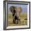 Kenya, Amboseli National Park, Elephant (Loxodanta Africana)-Alison Jones-Framed Photographic Print