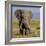 Kenya, Amboseli National Park, Elephant (Loxodanta Africana)-Alison Jones-Framed Photographic Print