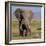 Kenya, Amboseli National Park, Elephant (Loxodanta Africana)-Alison Jones-Framed Photographic Print