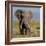 Kenya, Amboseli National Park, Elephant (Loxodanta Africana)-Alison Jones-Framed Photographic Print