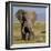 Kenya, Amboseli National Park, Elephant (Loxodanta Africana)-Alison Jones-Framed Photographic Print