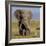 Kenya, Amboseli National Park, Elephant (Loxodanta Africana)-Alison Jones-Framed Photographic Print