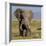 Kenya, Amboseli National Park, Elephant (Loxodanta Africana)-Alison Jones-Framed Photographic Print