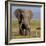 Kenya, Amboseli National Park, Elephant (Loxodanta Africana)-Alison Jones-Framed Photographic Print