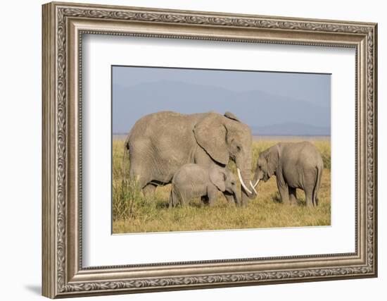 Kenya, Amboseli National Park, Elephant (Loxodanta Africana)-Alison Jones-Framed Photographic Print