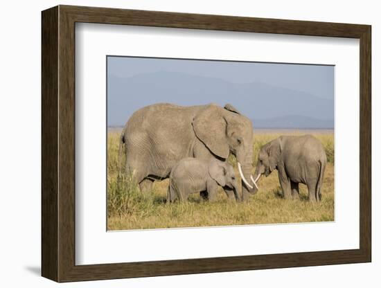 Kenya, Amboseli National Park, Elephant (Loxodanta Africana)-Alison Jones-Framed Photographic Print