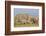 Kenya, Amboseli National Park, Elephant (Loxodanta Africana)-Alison Jones-Framed Photographic Print