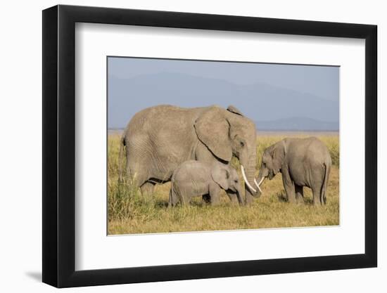 Kenya, Amboseli National Park, Elephant (Loxodanta Africana)-Alison Jones-Framed Photographic Print