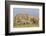 Kenya, Amboseli National Park, Elephant (Loxodanta Africana)-Alison Jones-Framed Photographic Print