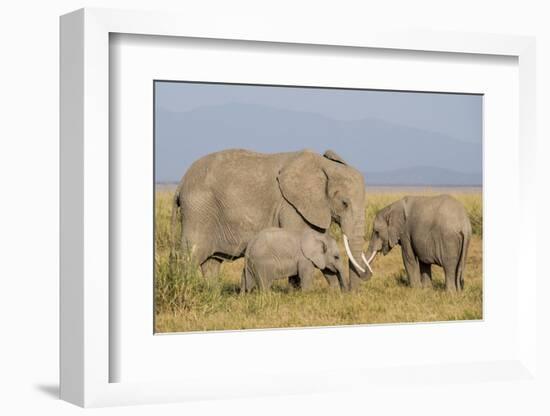 Kenya, Amboseli National Park, Elephant (Loxodanta Africana)-Alison Jones-Framed Photographic Print