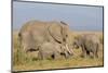 Kenya, Amboseli National Park, Elephant (Loxodanta Africana)-Alison Jones-Mounted Photographic Print