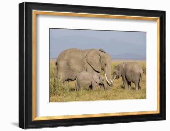 Kenya, Amboseli National Park, Elephant (Loxodanta Africana)-Alison Jones-Framed Photographic Print