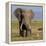 Kenya, Amboseli National Park, Elephant (Loxodanta Africana)-Alison Jones-Framed Premier Image Canvas