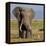 Kenya, Amboseli National Park, Elephant (Loxodanta Africana)-Alison Jones-Framed Premier Image Canvas
