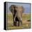 Kenya, Amboseli National Park, Elephant (Loxodanta Africana)-Alison Jones-Framed Premier Image Canvas