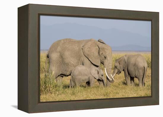 Kenya, Amboseli National Park, Elephant (Loxodanta Africana)-Alison Jones-Framed Premier Image Canvas