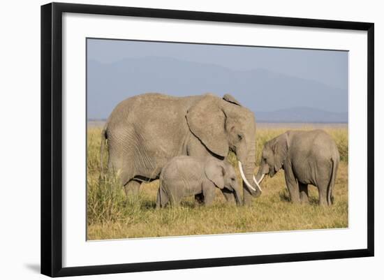 Kenya, Amboseli National Park, Elephant (Loxodanta Africana)-Alison Jones-Framed Photographic Print