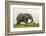 Kenya, Amboseli National Park, Elephant-Alison Jones-Framed Photographic Print