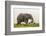 Kenya, Amboseli National Park, Elephant-Alison Jones-Framed Photographic Print