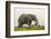 Kenya, Amboseli National Park, Elephant-Alison Jones-Framed Photographic Print