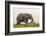 Kenya, Amboseli National Park, Elephant-Alison Jones-Framed Photographic Print