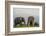 Kenya, Amboseli National Park, Elephant-Alison Jones-Framed Photographic Print