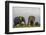 Kenya, Amboseli National Park, Elephant-Alison Jones-Framed Photographic Print