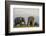 Kenya, Amboseli National Park, Elephant-Alison Jones-Framed Photographic Print