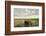 Kenya, Amboseli National Park, Elephants in Wet Grassland in Cloudy Weather-Anthony Asael/Art in All of Us-Framed Photographic Print