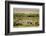 Kenya, Amboseli National Park, Group of Zebras-Anthony Asael-Framed Photographic Print