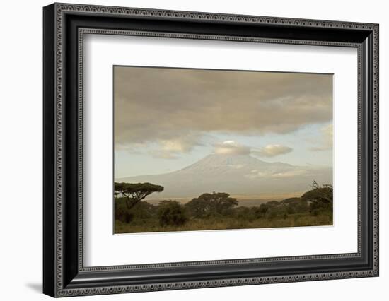 Kenya, Amboseli National Park, Kilimanjaro Mountain at Sunrise-Anthony Asael-Framed Photographic Print