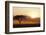 Kenya, Amboseli National Park, Lonely Tree at Sunset-Anthony Asael-Framed Photographic Print