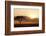 Kenya, Amboseli National Park, Lonely Tree at Sunset-Anthony Asael-Framed Photographic Print