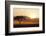 Kenya, Amboseli National Park, Lonely Tree at Sunset-Anthony Asael-Framed Photographic Print