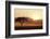 Kenya, Amboseli National Park, Lonely Tree at Sunset-Anthony Asael-Framed Photographic Print