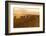 Kenya, Amboseli National Park, Wildebeest Running at Sunset-Anthony Asael-Framed Photographic Print