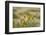 Kenya, Amboseli National Park, Yellow Canary or Weaver-Anthony Asael-Framed Photographic Print