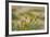 Kenya, Amboseli National Park, Yellow Canary or Weaver-Anthony Asael-Framed Photographic Print