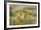 Kenya, Amboseli National Park, Yellow Canary or Weaver-Anthony Asael-Framed Photographic Print